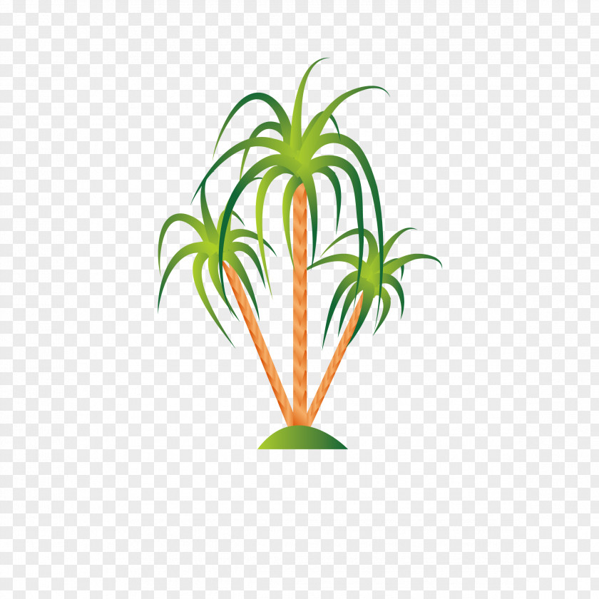 Tropical Plants Illustration PNG
