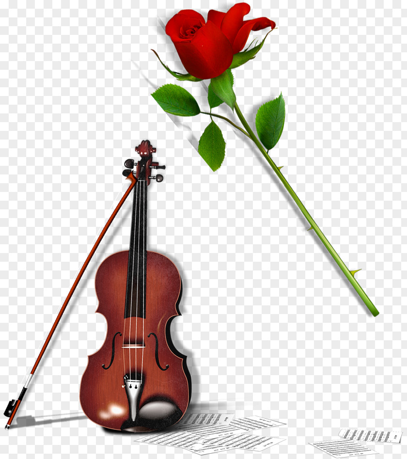 Violin Rose Elements Cello Download PNG