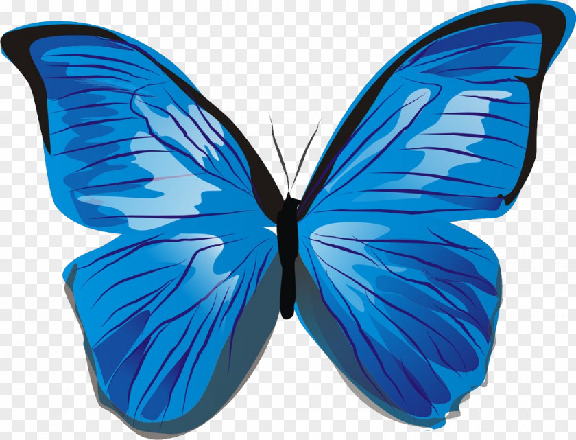 Blue Butterfly Clip Art PNG