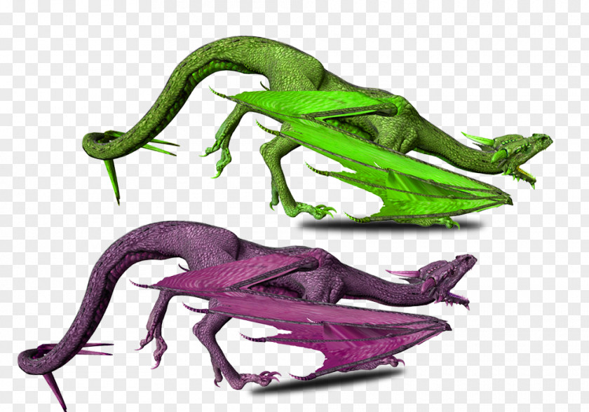 Creeping Dragon Illustration PNG