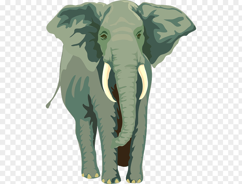 Elephants African Elephant Asian Rope Mooring PNG