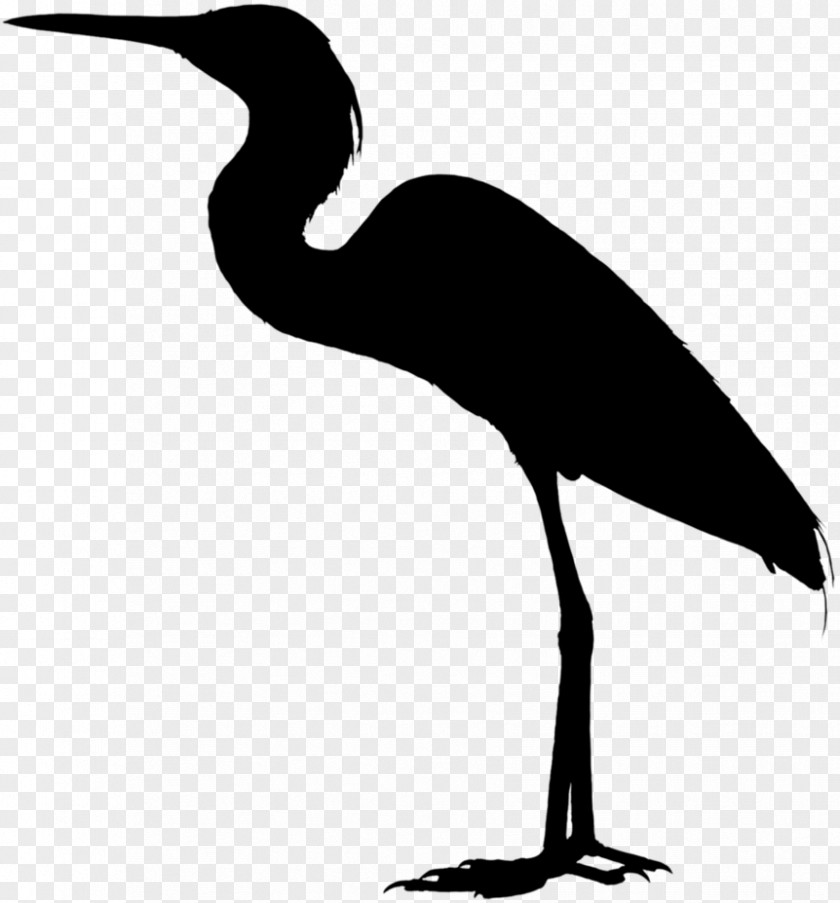 Heron Ibis Stork Clip Art Crane PNG