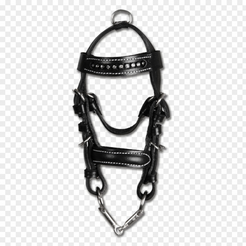 Horse Bridle Leather Key Chains PNG