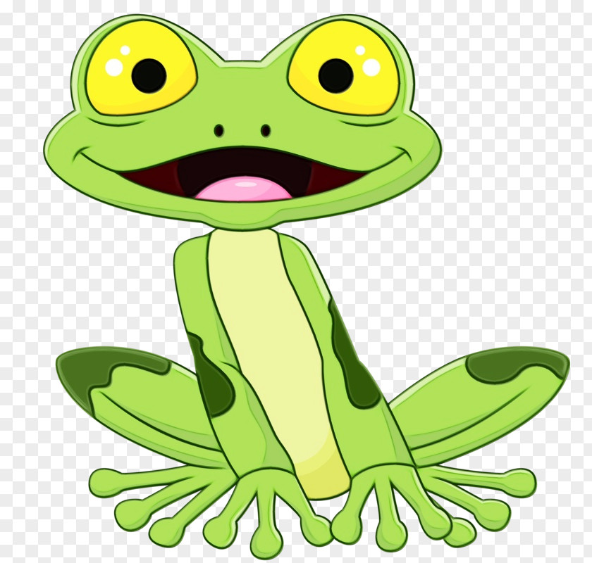 Hyla Tree Frog True Green Cartoon Toad PNG