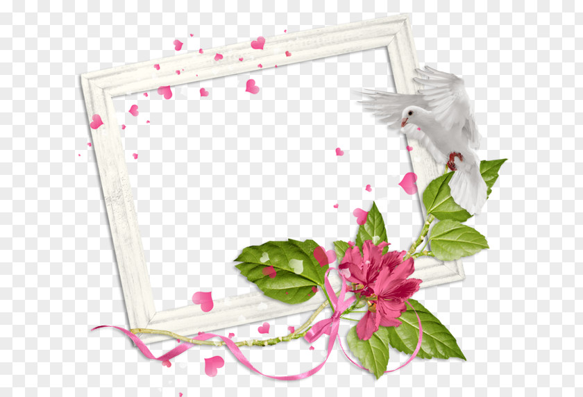 MIT BBS Picture Frames Message Love PNG