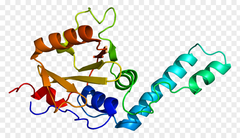 Ataxin 3 Protein Gene Poster PNG