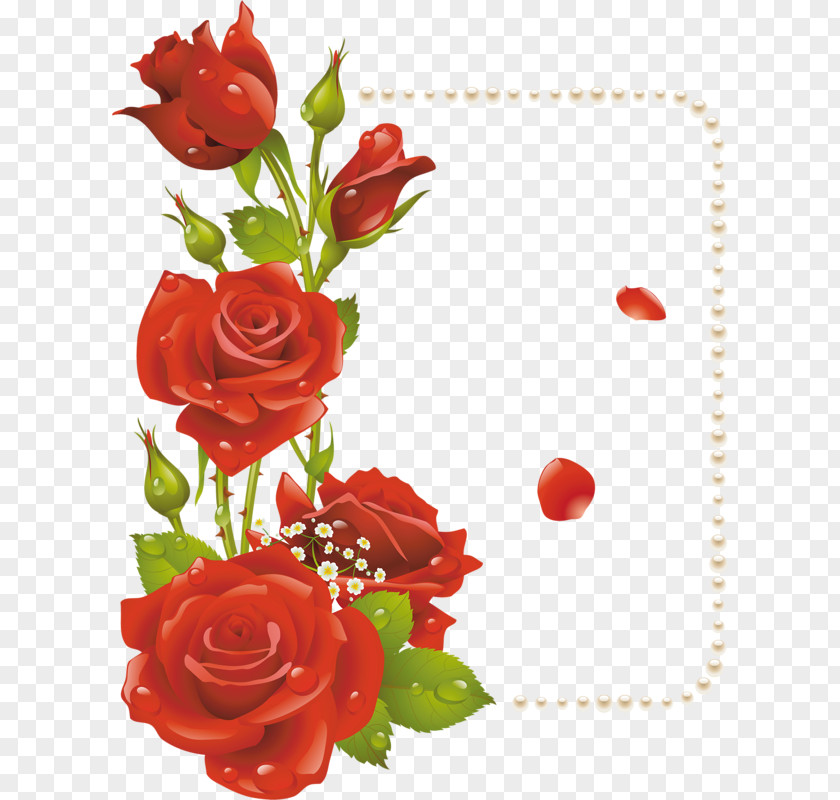 Flower Clip Art Picture Frames Rose Vector Graphics PNG