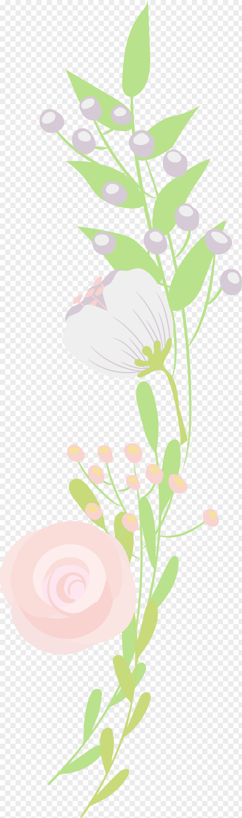 Illustration Clip Art Floral Design Product PNG
