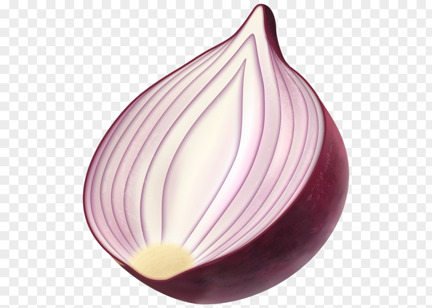Onions Red Onion French Soup Clip Art PNG