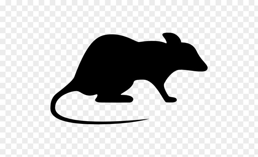 Rat & Mouse Brown Laboratory Rodent PNG