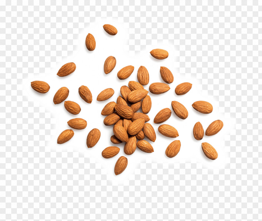 Almond Kind Ingredient Nut Food PNG