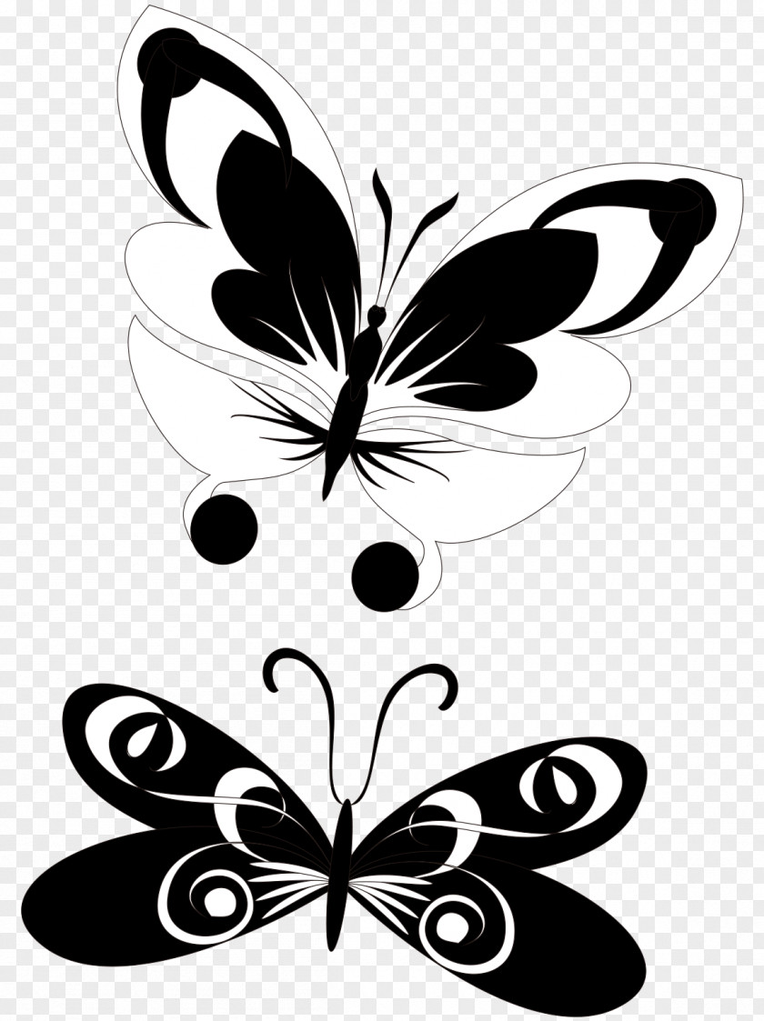 Butterfly Graphic Design Vector Graphics Drawing Image PNG