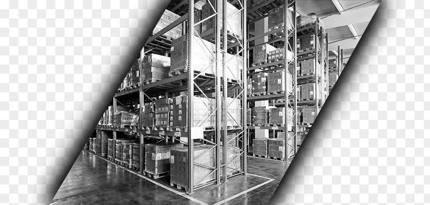 Gondola Shop Warehouse Management System Logistics Pallet Racking Business PNG