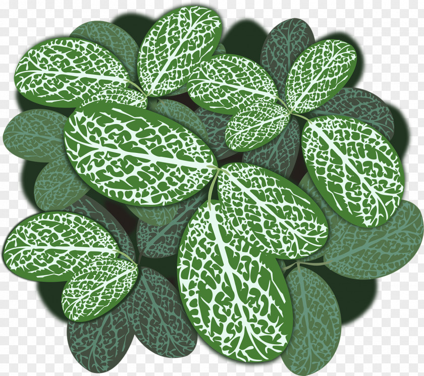 Leaf Plant Leaves Clip Art PNG