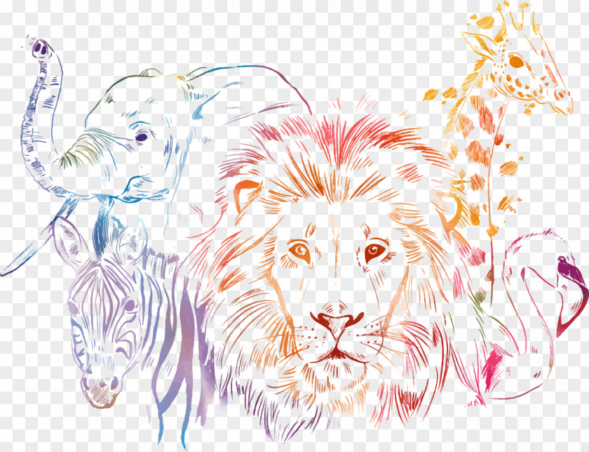 African Animals Africa Tiger Middle East Illustration PNG
