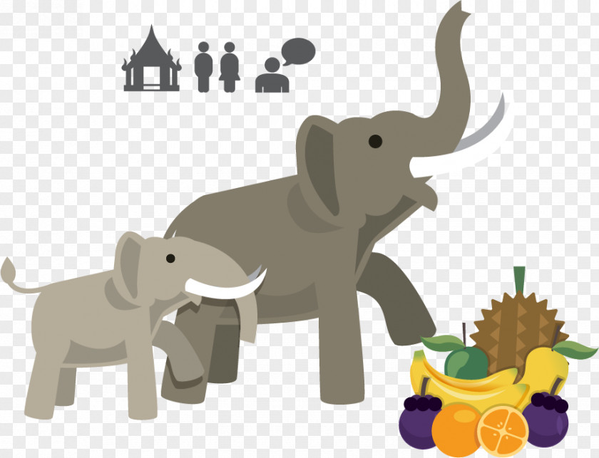 Elephant Vector Material Fruits Elephants In Thailand African Indian PNG