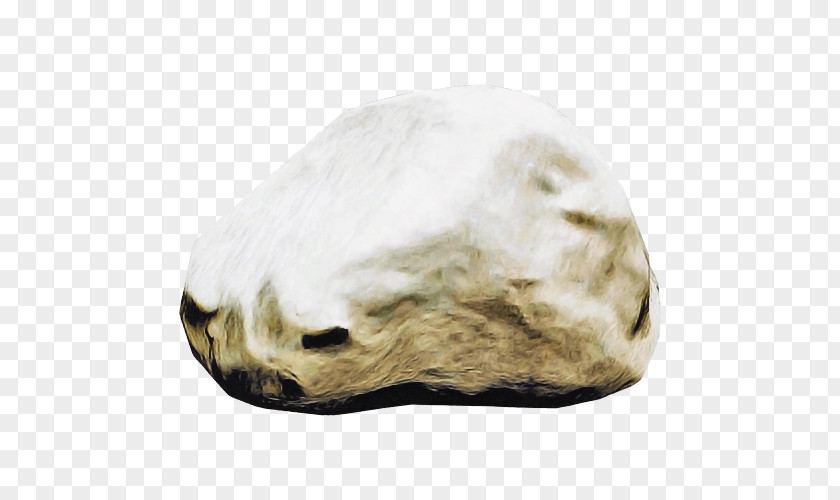 Fur Bone Rock Skull PNG