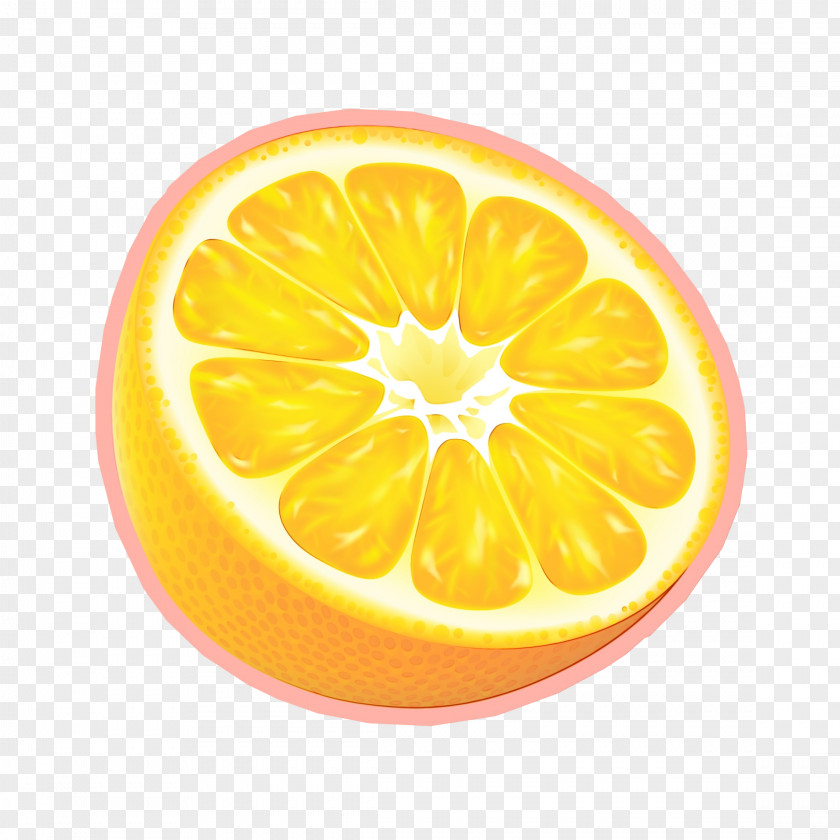Kumquat Valencia Orange Lemon Drawing PNG