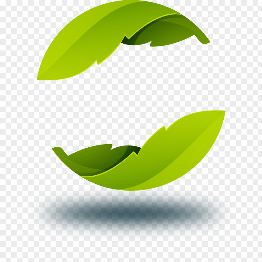 Leaf Shadow Logo PNG