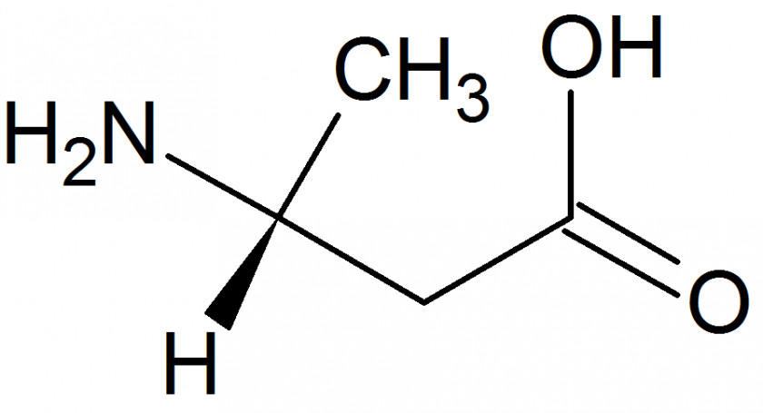 Leucine Betaine Acetone Branched-chain Amino Acid PNG