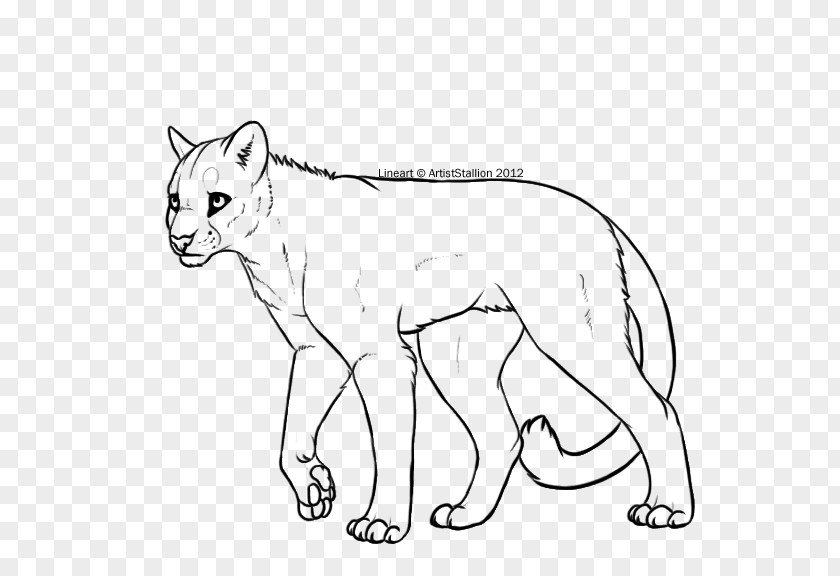 Lion Cougar Line Art Cat Whiskers PNG