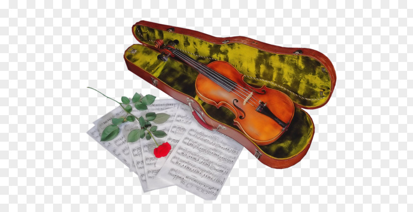 Violin Musical Instruments Cello Viola PNG