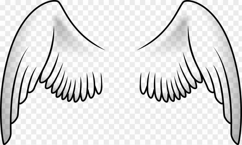 Wings Bird Wing Parrot Clip Art PNG