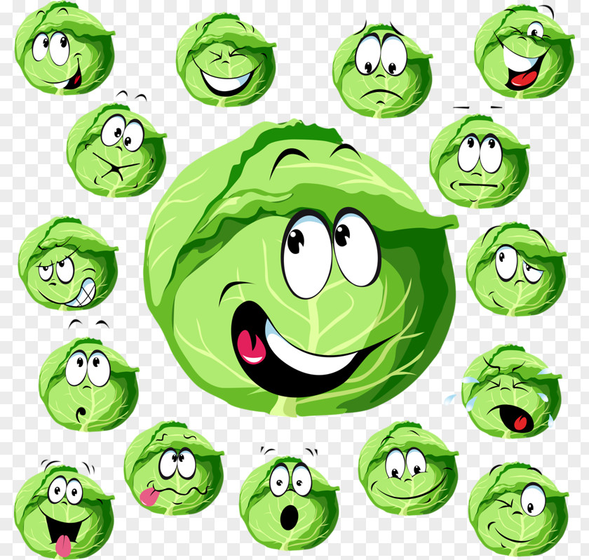 Cartoon Green Cabbage Royalty-free Illustration PNG
