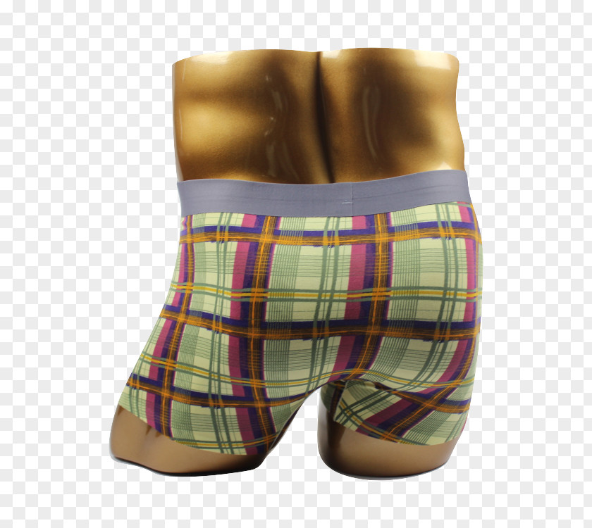 MAN Underwear Tartan Briefs Trunks Underpants PNG