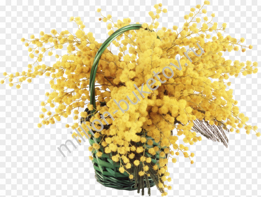Mimosa Flower Bouquet Desktop Wallpaper PNG