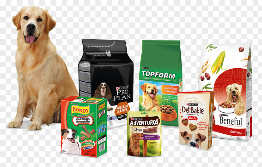 Puppy Dog Food Beneful Cat PNG