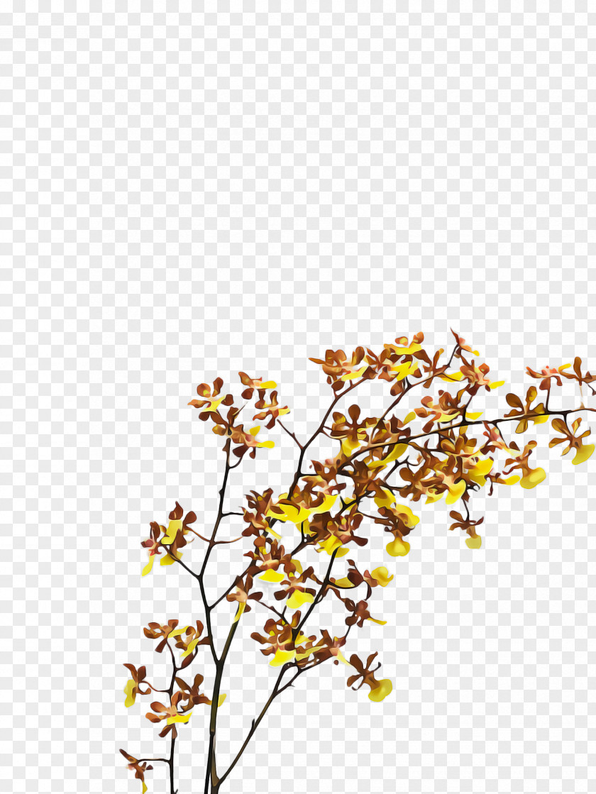 Wildflower Tree Branch Yellow Plant Flower Twig PNG