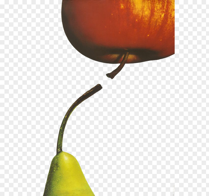 Apples And Pears Poster Graphic Design Fruit PNG