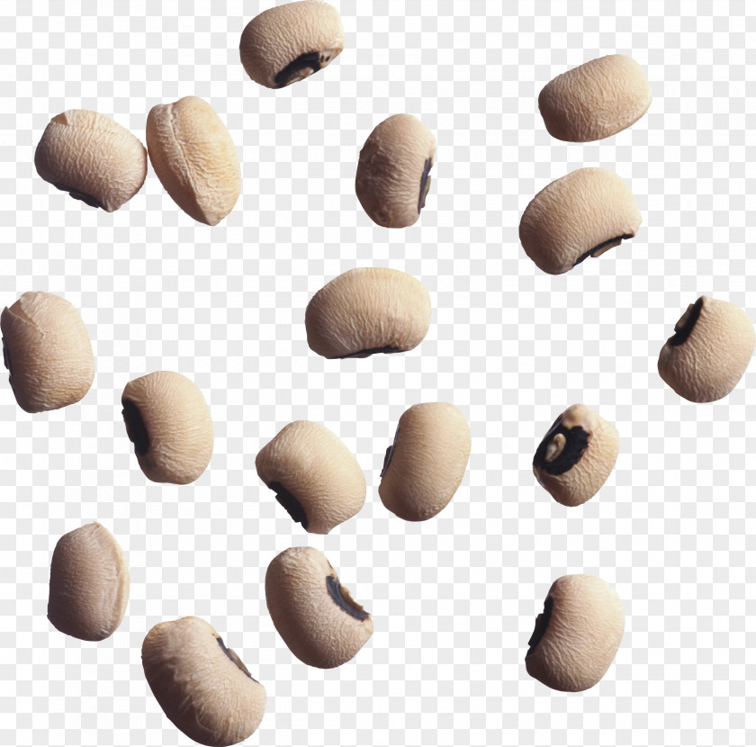 Black Beans Pinto Bean Kidney Stone Food Pea PNG