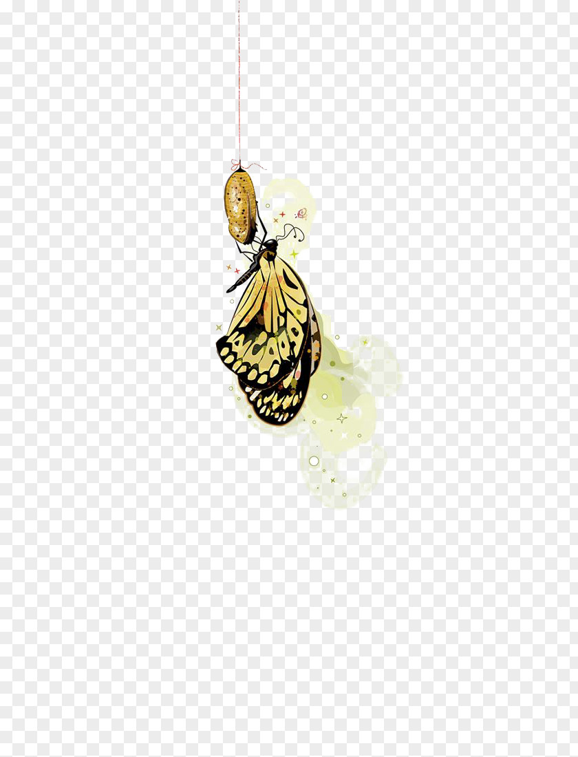 Butterfly Yellow Insect Membrane Pattern PNG