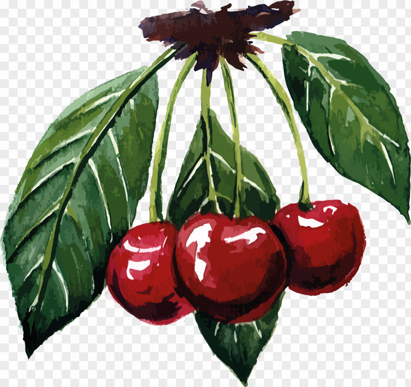 Cherry Berry Slatko Auglis Fruit PNG
