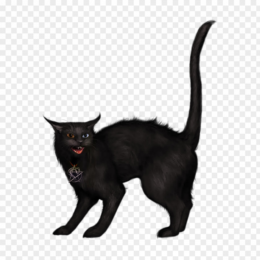 Creepy Black Cat Clip Art PNG