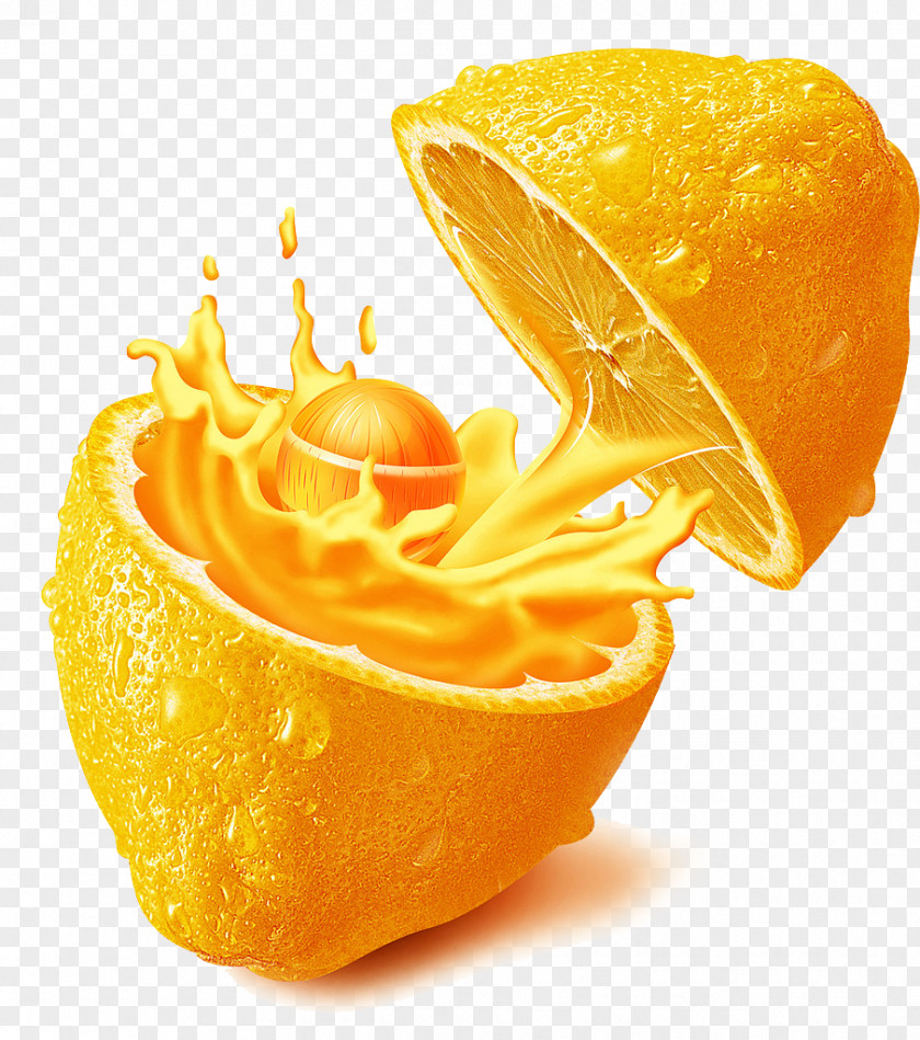 Orange Juice Lemonade Juicer PNG
