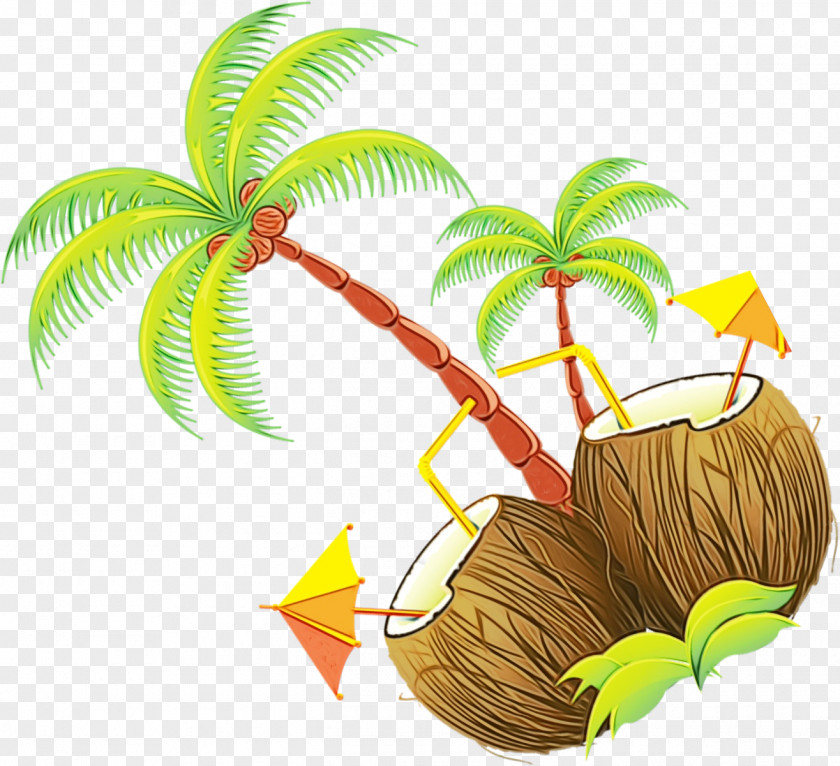 Palm Trees PNG