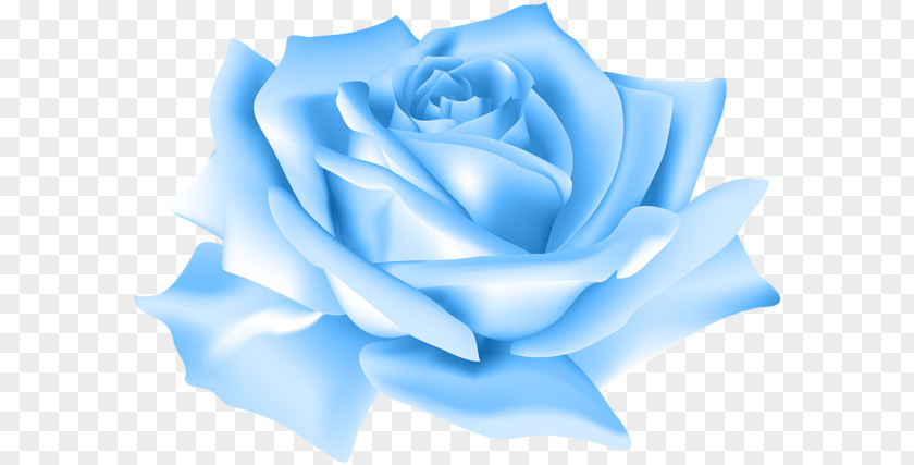 Rose Blue Clip Art PNG