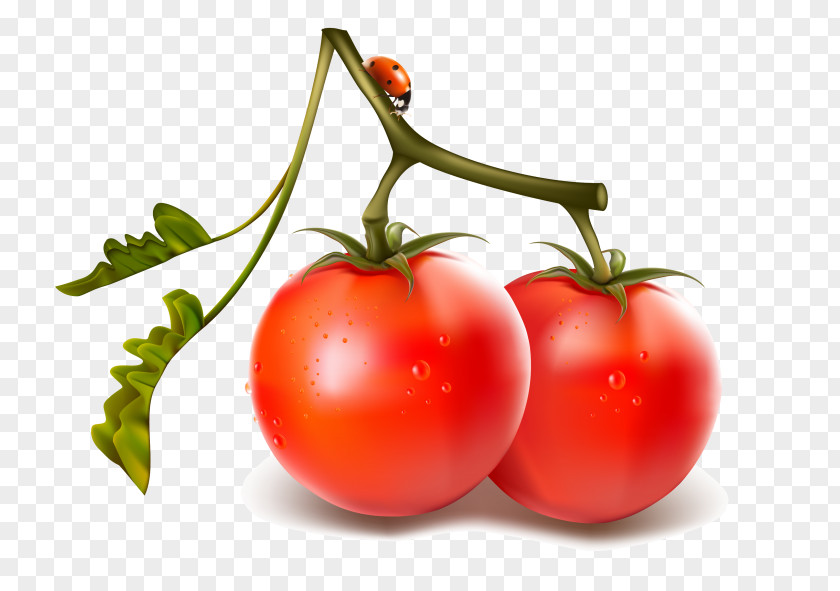 Vegetable Cherry Tomato Juice PNG