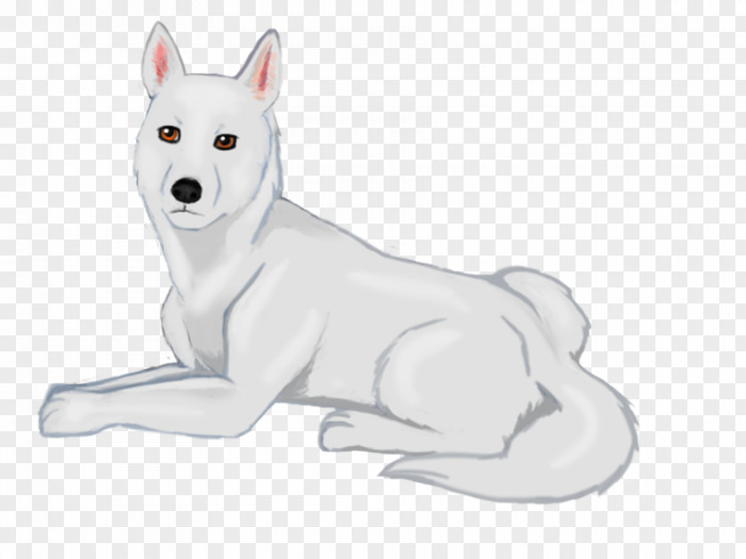 Dire Wolf Size Canaan Dog Kishu White Shepherd Breed Puppy PNG