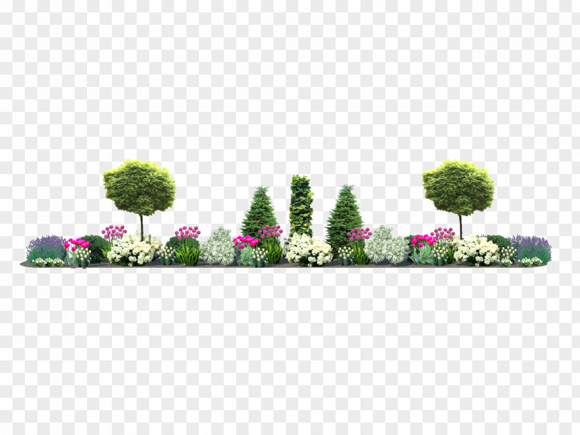 Fence Bedding Garden Lawn Perennial Plant PNG