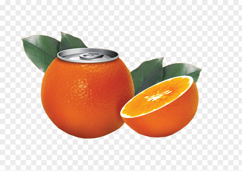 Orange Creative Design Juice Clementine Creativity PNG