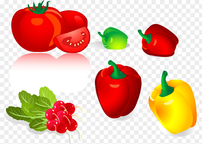 Radish Tomato Pepper Vector Material Bell Chili Vegetable PNG