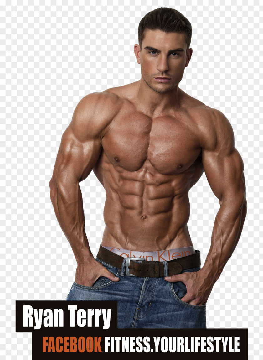 Terry Human Body Muscle Bodybuilding Abdomen Bodies: The Exhibition PNG