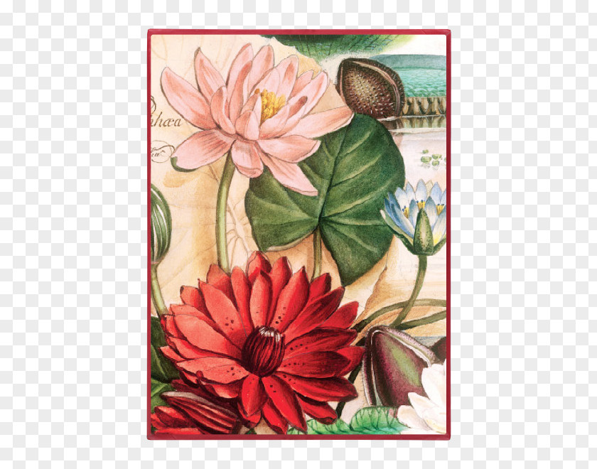 Water Lilies Greeting & Note Cards Paper Gift Flower PNG