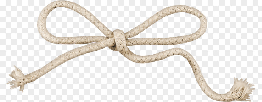 Bow Rope Shoelace Knot Ribbon PNG