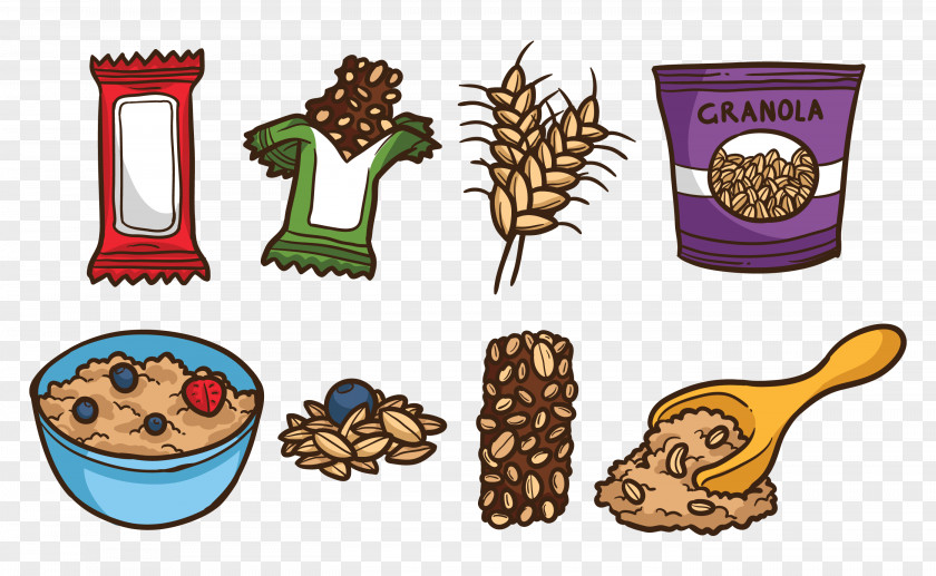 Immune System Clip Art Oat Breakfast Cereal Fruit Flapjack PNG