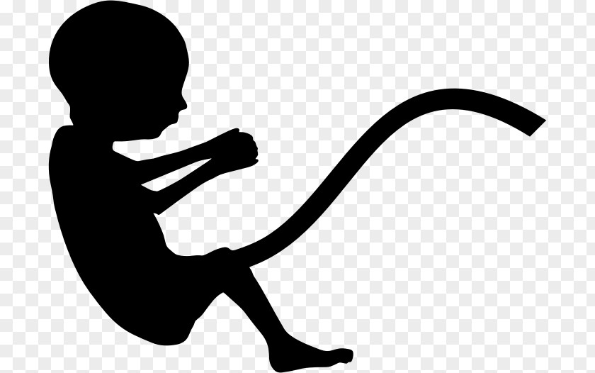 Pregnancy Fetus Infant Mother PNG